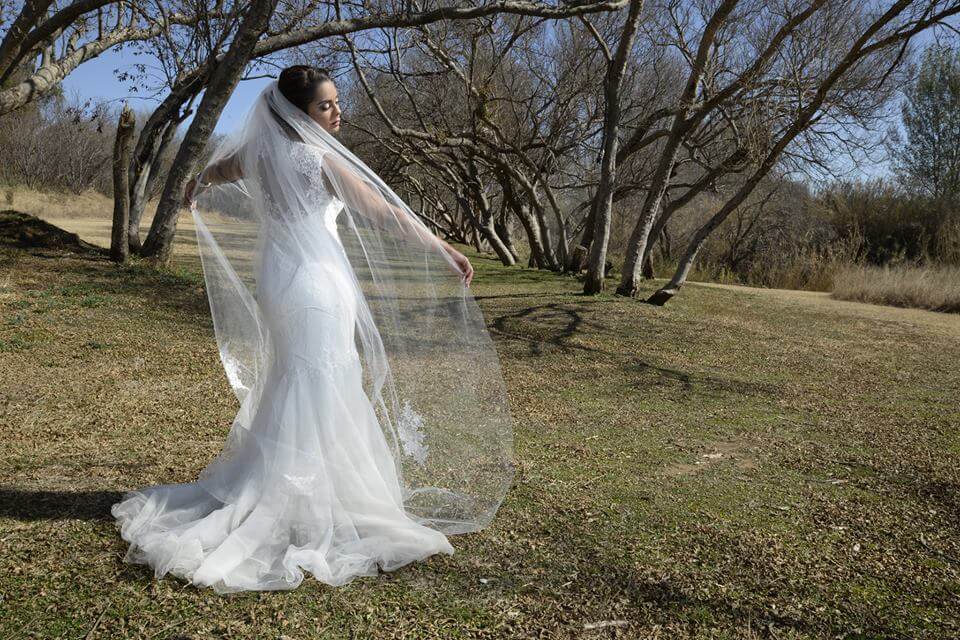 Weddings (5)